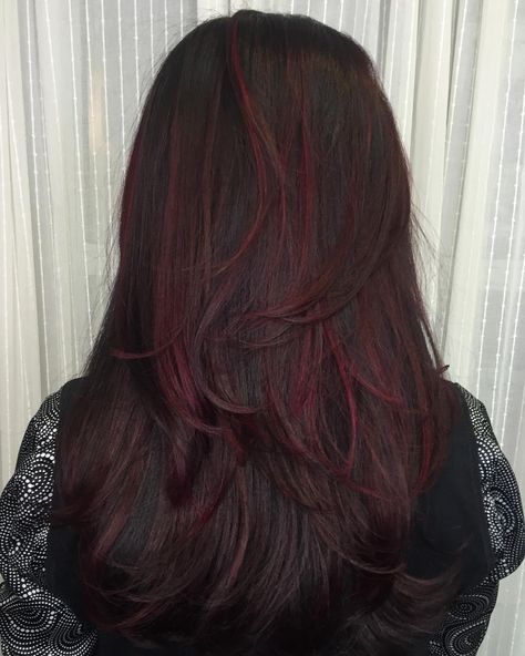 Magenta Red Highlights, Dark Hair With Coloured Highlights, Dark Brown Hair And Red Highlights, Brown To Dark Red Hair, Dyed Hair For Dark Brown Hair, Deep Cherry Red Hair Ombre, Dark Red Hair Pink Highlights, Colour Highlights Brown Hair, Dark Red Streaks In Brown Hair