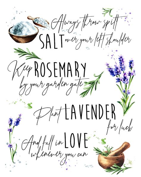 This Digital Prints item by SplatMerchandise has 93 favorites from Etsy shoppers. Ships from United States. Listed on 19 Mar, 2023 Practical Magic Quotes, Practical Magic Movie, Plant Lavender, Practical Magic House, Salt Art, Magic Party, Magic Quotes, Practical Magic, Love Can