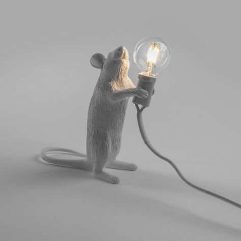 Mouse illustration