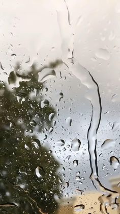 Rainy Weather Video, Rain Mood Video, Tree Therapy, Calming Videos, Happy Video, Calm Life, Rainy Wallpaper, Rain Sound, Fesyen Islam