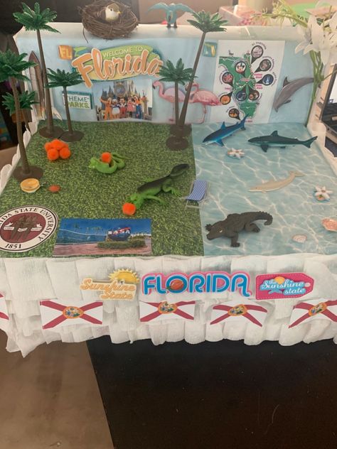 Florida Float School Project, State Float School Project, State Project, Florida Project, Rock Family, History Projects, School Project, Family Day, Florida State