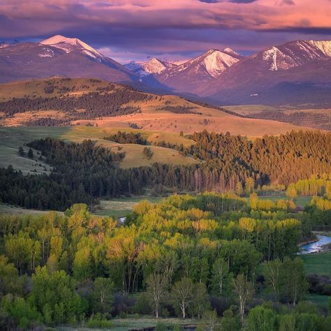 Springtime in Montana is a beauty to behold. Full rivers, green hills, lush vegetation and snow on the peaks. Definitely one of my favorite times of year. 📸 Photo Credit: @kevinleaguephoto #montana #visitmontana #visitmt #bigskycountry #montanagram #montanaphotography #exploremontana #montanaexplorer #mountainphotography #springinmontana #mountains #montanamountains #earthfocus #getoutside #406 #montanamoment Visit Montana, Montana Mountains, Montana Travel, University Of Montana, Montana State, Big Sky Country, Green Hills, Mountain Photography, Glacier National