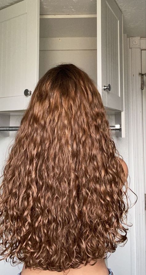 Long Curly Light Brown Hair, Hairstyles For Wavy Curly Hair, Wavy Hair Aesthetic, Brown Curly Hair, Curly Hair Photos, Wavy Curly Hair, Curly Hair Inspiration, Hair Stylist Life, Hair Photo