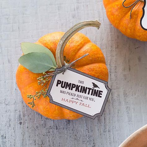 Tie-On Pumpkin Tag Diy Halloween Pumpkins, Crafts For Halloween, Paper Pumpkin Craft, Halloween Pumpkin Crafts, Halloween Pumpkin Diy, Pumpkin Pillow, Marketing Gift, Pumpkin Gift, Creative Pumpkins