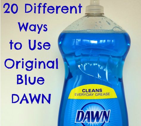 Did you know Original Blue Dawn isn’t just a dish washing liquid?  I’ve been using Dawn for years to wash my dishes and also to clean our windows and mirrors (for just pennies), but what I didn’t realize was that Dawn can also be used to control dog fleas, clean soap scum in your bathroom,  remove spots on your laundry, and […] Dawn Dishwashing Liquid, Blue Dawn, Clean Baking Pans, Cleaning Painted Walls, Dawn Dish Soap, Deep Cleaning Tips, Soap Scum, Dishwashing Liquid, Cleaners Homemade