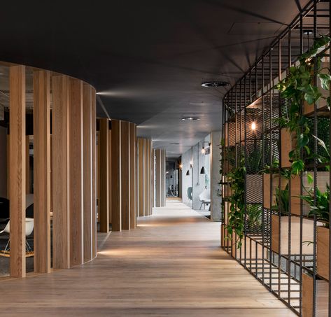 Plant Office Design, Sustainable Interior Design, Commercial And Office Architecture, Modern Office Design, Office Plants, Workplace Design, Cool Office, Office Workspace, Garden Office