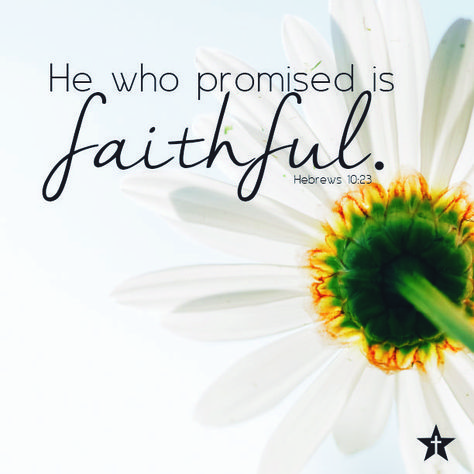 Hebrews‬ ‭10:23‬ ‭NKJV‬‬  “Let us hold fast the confession of our hope without wavering, for He who promised is faithful.” ‭‭ http://bible.com/114/heb.10.23.nkjv He Who Promised Is Faithful, Hebrews 10 23, The Confession, Hebrews 10, Bird Quotes, I Love The Lord, God's Promise, God's Promises, Gods Girl