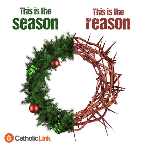 Jesus Is The Reason For The Season | Catholic Link Fast And Pray, Meaning Of Christmas, True Meaning Of Christmas, Christmas Jesus, Birth Of Jesus, Christian Christmas, Christmas Quotes, Christian Life, All Things Christmas