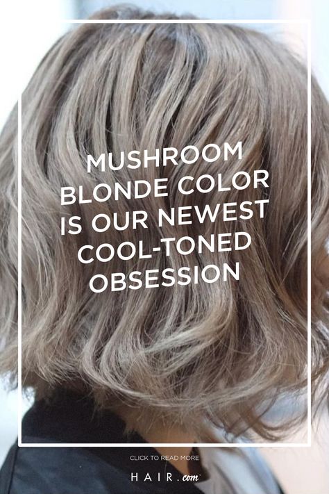 Low Maintenance Mushroom Blonde, Blonde With Mushroom Brown Lowlights, Mink Tones Hair, Blonde To Mushroom Brown Hair, Mushroom Color Hair With Highlights, Dark Blonde Hair Going Grey, Hair Color Blonde Ash, Ash Taupe Hair Color, Oyster Hair Color