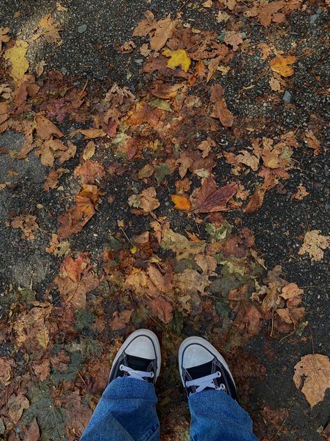 autumn fall converse leaves aesthetic Fall Aethstetic, Autumn Converse, Fallfashion Aesthetic, Class Artwork, Fall Converse, Aesthetic Converse, Graphic Design Cv, Fall Wallpapers, Design Cv