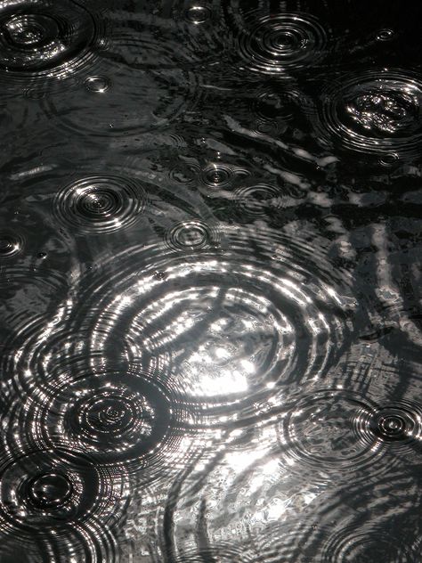 i love all the different water ripples, rings and circles created in this photo and the gloomy effect it gives in black and white. Body Of Water, Water Ripples, Water Reflections, Water Photography, Circle Ring, Black White Photos, Warrior Cats, Patterns In Nature, Blue Water