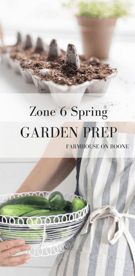 Zone 6 Gardening, Garden For Beginners, Garden Preparation, Garden Prepping, Indoor Vegetables, Vegetable Garden Planner, Starting Seeds, Types Of Herbs, Gardening Zones