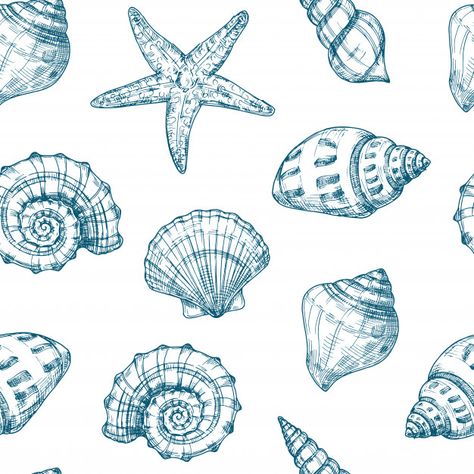 Marine Illustration Ocean, Sea Shell Drawing, Ocean Vector, Professional Shoot, Seashell Drawing, Nautical Background, Grass Drawing, Ocean Texture, Shell Drawing