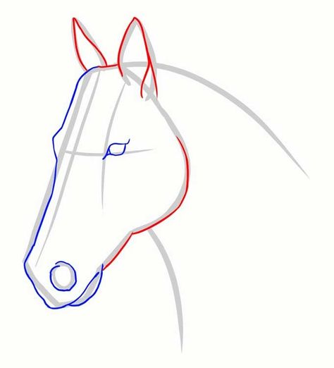 Head Drawing Step By Step, Horse Face Drawing, Easy Horse Drawing, Horse Drawing Tutorial, Head Drawings, Horse Head Drawing, Draw A Horse, Rock Projects, Rock Animals