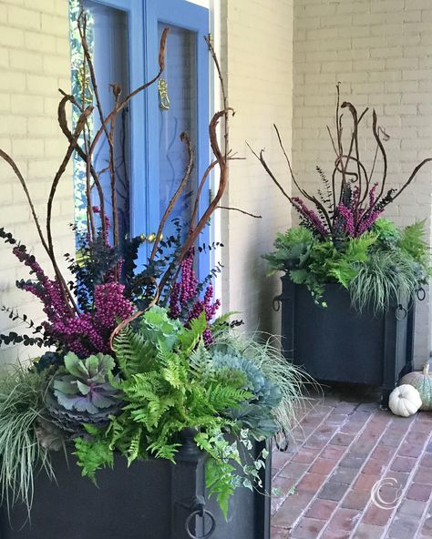 container gardening — Blog: Container Gardening Tips & Inspiration — Contained Creations Fall Containers Planters, Winter Planter Ideas, Fall Container Plants, Fall Flower Pots, Fall Pots, Front Door Planters, Fall Window Boxes, Ideas For Front Porch, Fall Container Gardens