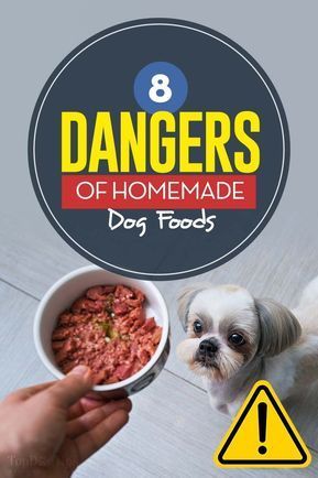 Diy Dog Food, Make Dog Food, Dog Biscuit Recipes, Vegan Dog, Easiest Dogs To Train, Dog Foods, Food Dog, Dog Food Brands, Natural Dog Food