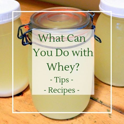 Uses For Whey, Whey Recipes, Fermented Dairy, Cheese Recipes Homemade, Cheese Making Recipes, Making Cheese, Food Preserving, Homemade Cheese Sauce, Kefir Recipes