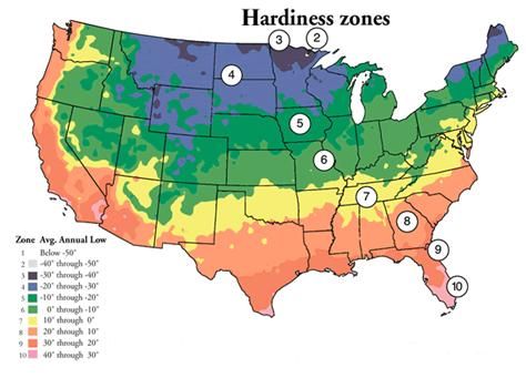 growing moringa Gardening Zone Map, Growing Moringa, Planting Zones Map, Planting Zones, Moringa Tree, Planting Calendar, Tree Growing, Plant Zones, Gardening Zones