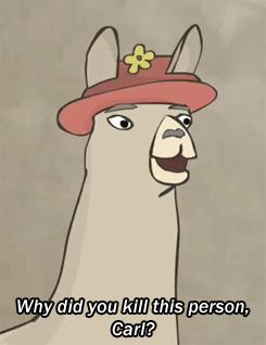 Llamas In Hats, Carl Llamas With Hats, Charlie The Unicorn, Llamas With Hats, Tv Shows Funny, Llama Drama, Story Prompts, People Laughing, Very Funny Pictures