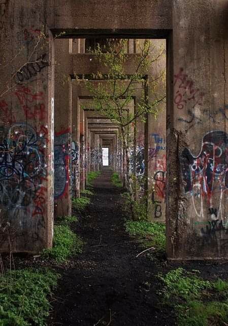 Abandoned City, Wow Photo, Apocalypse Aesthetic, Urban Nature, Street Graffiti, Grunge Photography, Abandoned Buildings, Street Art Graffiti, 영감을 주는 캐릭터