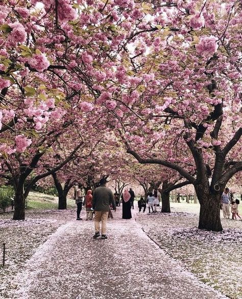 Brooklyn Botanical Garden Photoshoot, Brooklyn Botanical Garden, Things To Do Alone, Activities For Adults, Bo Peep, Engagement Pics, Best Cities, Botanical Garden, Inspiration Board