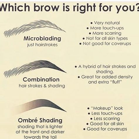 Which Brow style fits your look? Call to book your consultation today at 310-855-9558 Microblading Pre Care Instructions, Eyebrow Ombre Shading, Shading Brows Permanent, Microblading And Shading Eyebrows, Microblading Combo Eyebrows, Microblading Vs Powder Brow, Combination Brows Microblading, Microblading Vs Microshading, Ombre Eyebrows Microblading