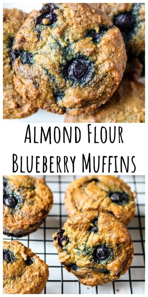 Almond flour blueberry muffins are a delicious and healthy alternative to traditional muffins. These gluten-free, low-carb treats are quick and easy to make (30 minutes and just one bowl). Low Carb Gluten Free Muffins, Healthy Gf Blueberry Muffins, Healthy Blueberry Muffins Almond Flour, Almond Flour Muffins Blueberry, Healthy Muffin Recipes Almond Flour, Gluten Free Blueberry Muffins Almond Flour, Almond Flour Healthy Recipes, Almond Flour Muffin Recipes, Gluten Free Muffins Almond Flour