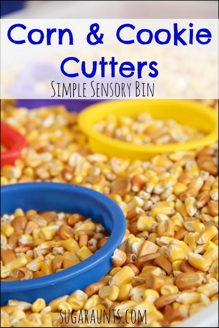 Corn Sensory Bin, Letter C Activities, Sensory Bin Ideas, Sensory Tables, Fall Sensory, Preschool Sensory, Sensory Tubs, Teach Preschool, Sensory Bags