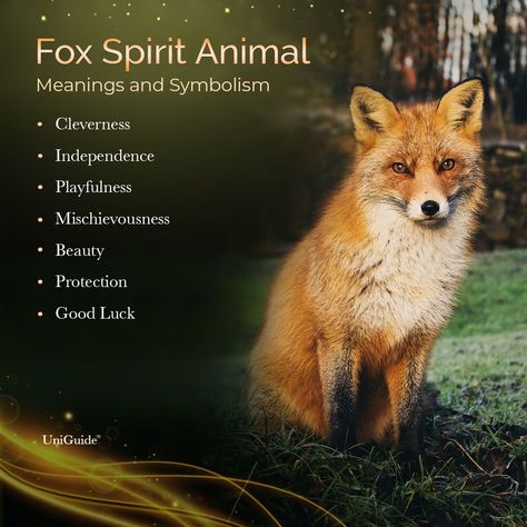 Fox As Spirit Animal, Fox Totem Spirit Guides, Fox Spirit Animal Art, Fox Meaning Spirit Animal, Fox Spirit Animal Meaning, Fox Personality, Fox Meaning, Fox Person, Spirit Animal Fox