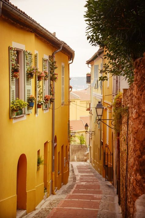 Menton, France: The Colourful Gem of the French Riveria - The Wandering Lens - Travel Photography Guides Menton France, Colour Aesthetic, France Travel Guide, France Photos, Photography Guide, Yellow Aesthetic, Mail Art, French Riviera, France Travel