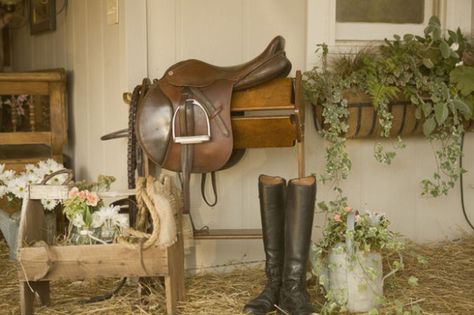 83696d953524d2e2b79643904d032976 Used Horse Shoes, Equestrian Helmet, Equestrian Decor, Tack Room, Horse Blankets, Down On The Farm, Equestrian Life, Window Boxes, Equestrian Outfits