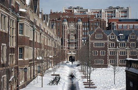 Univ. of Penna Quad - looking down toward the Baby Quad, where I lived freshman year. Upenn University Aesthetic, Upenn Aesthetic, Upenn Campus, Collegiate Aesthetic, Campus Architecture, College Architecture, Us Universities, University Architecture, Bryn Mawr