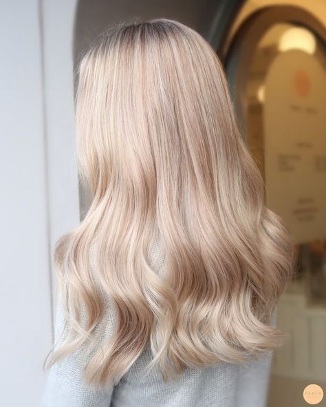 Types Of Blondes For Skin Tone, Light Cool Blonde Hair, Pinkish Blonde Hair, Champagne Blonde Highlights, Champagne Blond, Soft Blonde Hair, Champagne Blonde Hair, Champagne Hair, Styled Hair