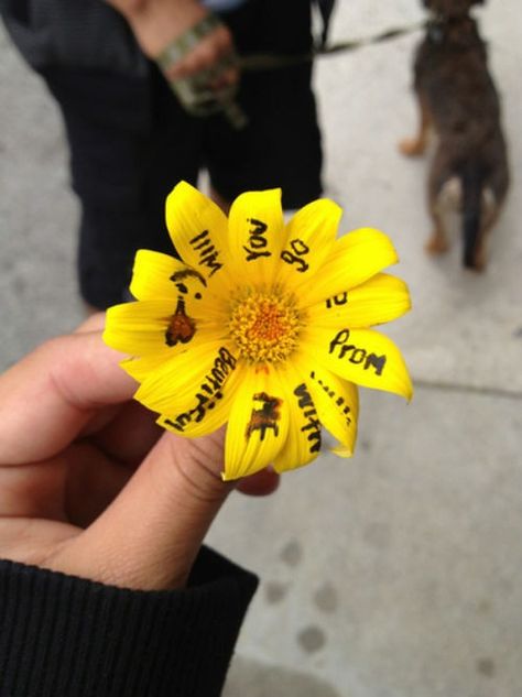 Flower Promposal, Prom Posals, Creative Prom Proposal Ideas, Prom Invites, Promposal Ideas, Dear Boyfriend, Cute Prom Proposals, Asking To Prom, Dance Proposal