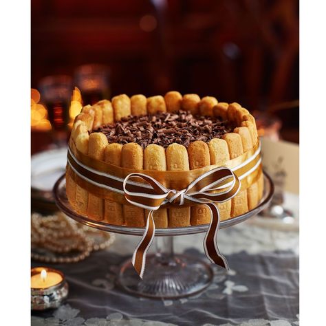 Chocolate Charlotte russeghkuk Charlotte Russe Dessert, Charlotte Russe Cake, Chocolate Charlotte, Chocolate Easter Cake, English Recipes, Charlotte Cake, Chocolate Sponge Cake, Torte Cupcake, Sponge Cake Recipes