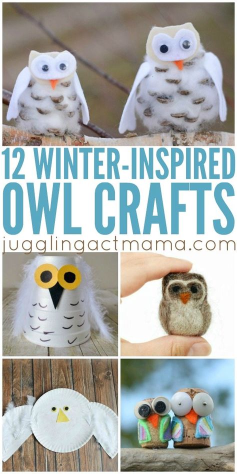 Owl Crafts For Kids, Snowy Owl Craft, Owl Activities, Arts And Crafts Interiors, Arts And Crafts For Adults, Arts And Crafts For Teens, Fun Arts And Crafts, Easy Arts And Crafts, Crafts For Seniors