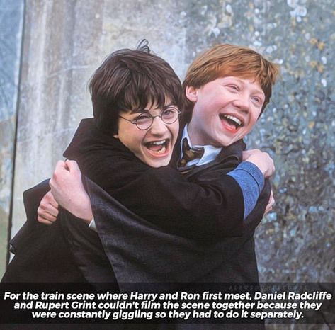 Harry And Ron, Ron And Harry, Ronald Weasley, Harry Potte, Beloved Movie, Harry Potter Kids, The Prisoner Of Azkaban, Rupert Grint, Black Actors