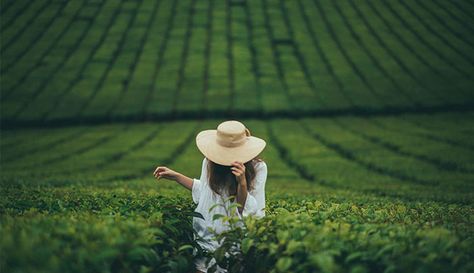 Creative Spotlight: Meet the Photographer That Conceals His Subject’s Identities Tea Farm, Travel Pose, Adventure Lifestyle, Travel Pictures Poses, Photography Posing Guide, Garden Photography, Best Photo Poses, Tea Garden, Photography Poses Women