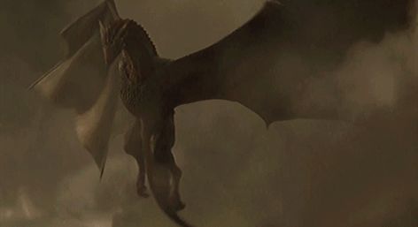 Dragon Flying Gif, House Of The Dragon Gif, Dragon Gif, Dragon Riders, Game Of Thrones Dragons, Got Dragons, Dragon Artwork Fantasy, Beast Creature, Httyd Dragons