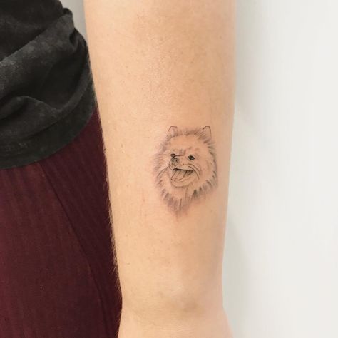 Pomeranian Tattoo, pomeranian tattoo outline, outline pomeranian tattoo, pomeranian tattoo ideas, black pomeranian tattoo, small pomeranian tattoo, pomeranian tattoo designs, pomeranian tattoo simple, minimalist pomeranian tattoo, cute pomeranian tattoo, simple pomeranian tattoo, pomeranian tattoo megan, pomeranian tattoo traditional, stylized pomeranian tattoo, tribal pomeranian tattoo pattern, tribal pomeranian tattoo patrern,pomeranian tattoo flash,cool pomeranian tattoo,pomeranian tattoo png Pomeranian Tattoo Outline, Pomeranian Tattoo, Tattoo Ideas Black, Small Pomeranian, Tattoo Png, Black Pomeranian, Tattoo Cute, Cute Pomeranian, Tattoo Simple