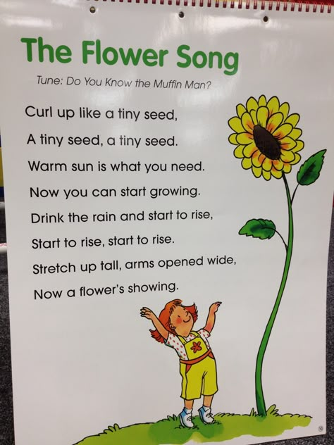 The Flower Song Gardening Study Preschool, Flower Preschool, Gardening Activities For Kids, Storytime Songs, Spring Poetry, Flower Song, Bean Stalk, April Preschool, Toddler Songs