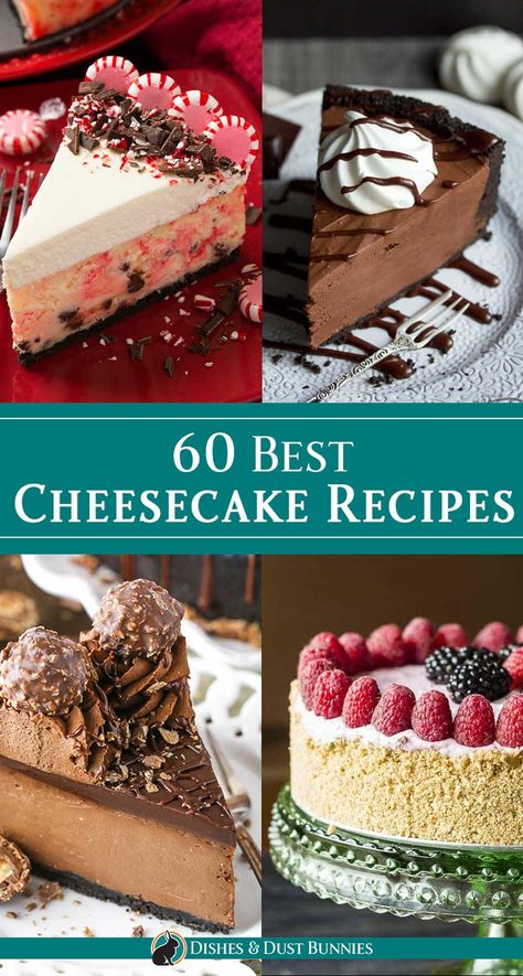 Top Cheesecake Recipes, Cheesecake Recipes Birthday, Different Flavor Cheesecake Recipes, Different Kinds Of Cheesecake, Uncooked Cheesecake Recipes, Cheesecake Flavours Ideas, Unusual Cheesecake Recipes, Fun Cheesecake Flavors, Pretty Cheesecake Designs