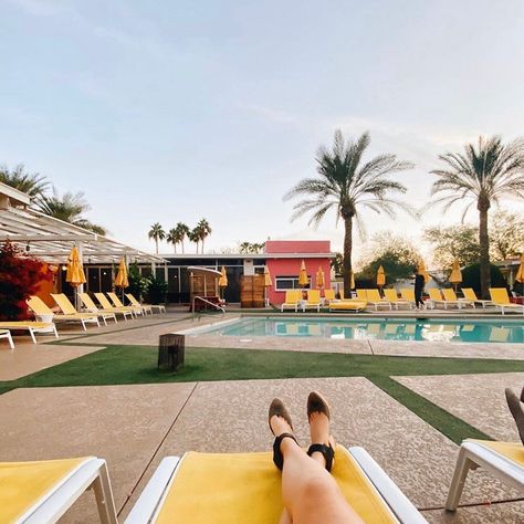 The Saguaro Scottsdale | Boutique Old Town Hotel Saguaro Hotel, Palm Springs Hotels, Goal Getter, Palm Springs California, Pool Day, Coachella Valley, Day Spa, Pool Days, Commercial Design