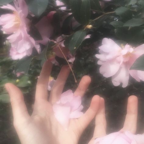 23 September, Small Things, Not Mine, Blur, Poetry, Flowers, Green, Pink