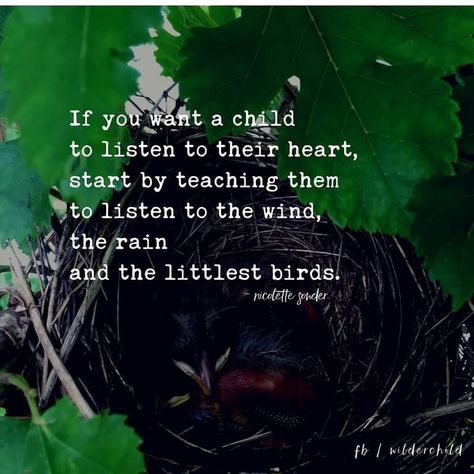 The Energy Experience on Instagram: “Yes to this...” Indigo Children, Connect With Nature, Reggio Inspired, Conscious Parenting, Study Quotes, Outdoor Classroom, One With Nature, Nature Study, Wild Child