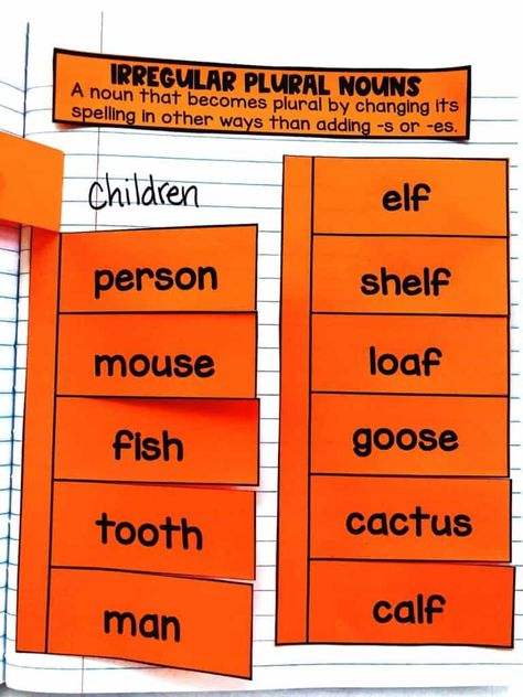 Teaching Plural Nouns, Plural Noun Activities, Irregular Nouns Activities, Singular And Plural Nouns Anchor Chart, Irregular Nouns Worksheets, Irregular Plural Nouns Anchor Chart, Plurals Activities, Singular And Plural Nouns Activities, Irregular Plural Nouns Activities