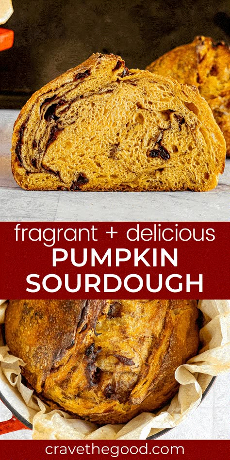 Pumpkin sourdough bread is the perfect way to celebrate fall. It’s packed with pumpkin spice and cranberries, so it’s sweet and savory at the same time. This delicious bread will be your family's favorite this holiday season! You can make this amazing pumpkin sourdough and enjoy it any day of the week. Plus we've included step by step instructions that even beginners can follow. We're sure once you try it out yourself at home, everyone will want seconds of this tasty treat! | cravethegood.com Fall Artisan Bread, Pretty Artisan Bread, Pumpkin Bread Artisan, Pumpkin Cinnamon Swirl Sourdough, Pumpkin Sour Dough Bread Recipe, Pumpkin Brown Sugar Sourdough, Healthy Fall Bread, Chocolate Chip Pumpkin Sourdough Bread, Bread Recipes Fall