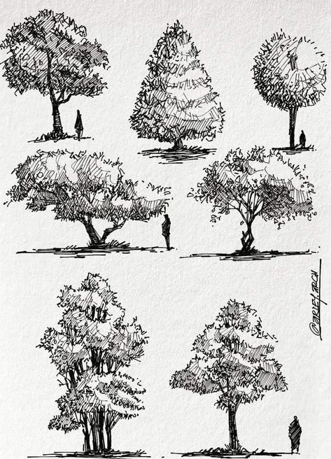 Pen Nature Drawings, Nature Pen Drawing, Pen Landscape, Hatching Drawing, Tree Line Drawing, Ink Drawing Techniques, Landscape Pencil Drawings, Landscape Design Drawings, Pen Art Work