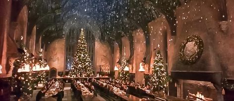 Harry Potter and the Chamber of Secrets - Hogwarts - The Great Hall at Christmas. Hogwarts Great Hall, Harry Potter Christmas Decorations, Film Harry Potter, Hogwarts Christmas, Great Hall, Harry Potter Christmas, Chamber Of Secrets, Hogwarts Express, Harry Potter Film