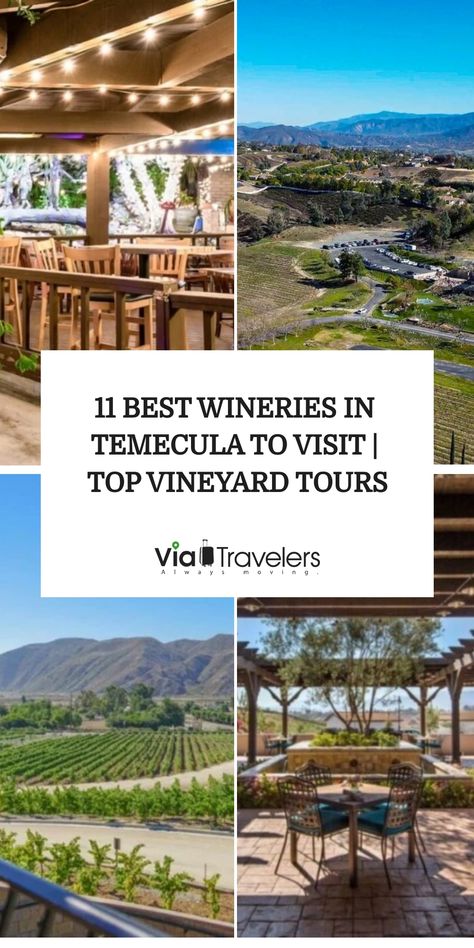 These top-rated wineries in Temecula are perfect for wine-tasting and make for a great way to spend a day in the valley. Here are our favorites. Temecula Wine Tasting, Temecula Wineries, Vineyard Tour, Expensive Wine, California Wine, Wine Making, Wine Tasting, The Valley, Top Rated